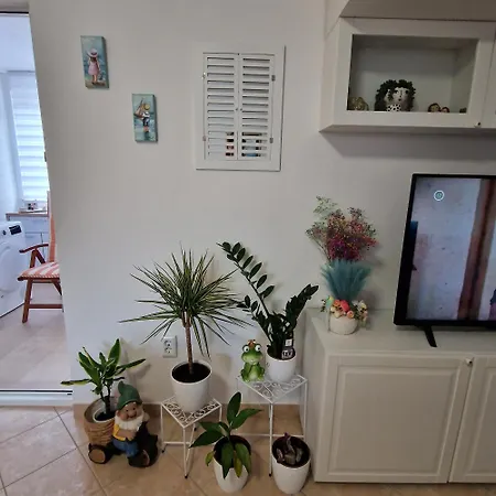 Charly Appartement